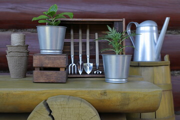 On a yellow wooden bench in front of a log wall are metal pots with flower plants, next to gardening tools and a yellow wooden barrel with metal watering can on it. Floriculture and gardening concept.