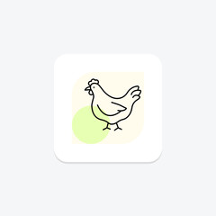 Chicken In Organic Farm, vector, pixel perfect, illustrator file