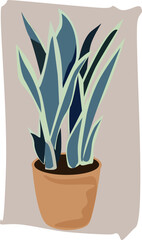 Illustration of a indoor plant