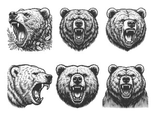 Fototapeta na wymiar Roaring Bear Set collection bundle sketch engraving generative ai vector illustration. Scratch board imitation. Black and white image.