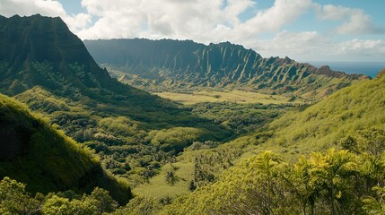 mountain landscape in summer