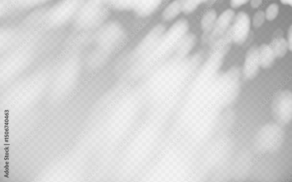 Wall mural abstract shadow overlay from tree branch on a transparent background.