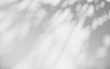 Obraz premium Abstract shadow overlay from tree branch on a transparent background.