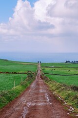Obraz premium Rustic Dirt Road Leading Through Green Fields to the Coastline in Sao Jorge, Azores. Rural landscape, ocean view, rolling hills, tranquil journey, cloudy sky