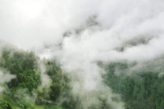 Nebelschwaden in den B&auml;umen und T&auml;lern der Berge