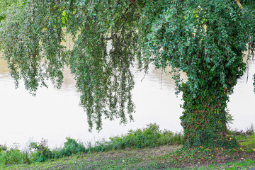 Scenic summer landscape in Lunca Muresului National Park, Romania, Europe