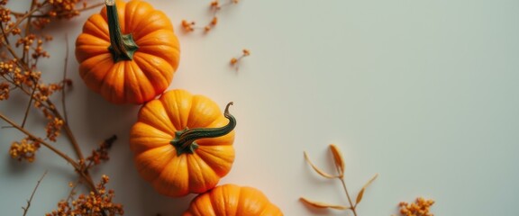 Miniature Pumpkins with Autumnal Floral Accents on Neutral Backdrop