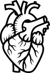 Anatomical Heart Svg, Floral Heart Svg
