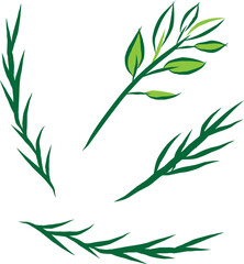 Minimalist Branch Illustrations with Green Leaves 
