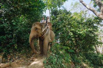 Two people ride an elephant through a lush jungle, accompanied by a local guide. bright sunlight...