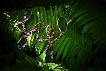 Midsummer celebrity Latvian national holiday slogan Ligo, on Lush Green Ferns.