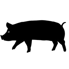 Silhouette of a Standing Pig Side View