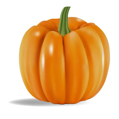 vector 3d illustration of ripe pumpkin