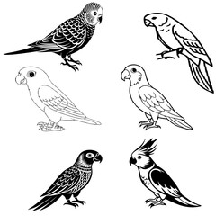 A set of parrot black vector image .Illustrator image ,icons and art