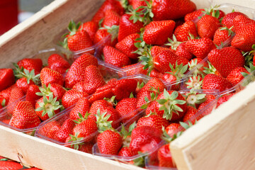 fraise