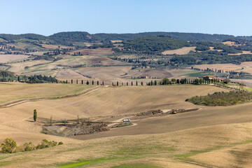  The rural landscape near Pienza in Tuscany. Italy