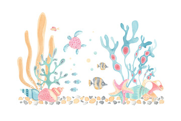 Ocean life watercolor illustration. Underwater world. Seaweed, coral, seashells, turtle and fish with delicate texture in pastel tones. Perfect for kids decor, greeting cards, sea-themed stationery