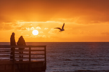 A couple watching a sunset over the ocean