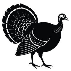 turkey vector sihouettte