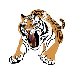 tiger vector illustration 