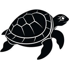 Turtle vector