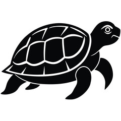 Turtle vector