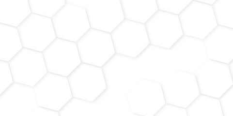 Abstract white hexagon background,Seamless pattern with hexagon.stripes, lines. Seamless vector background,Technology or Science Design, High-Resolution Graphic, Modern,