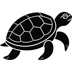 Turtle vector