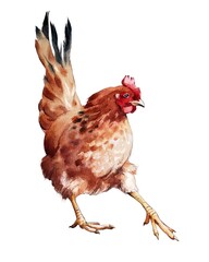 Brown hen walking gracefully in a vibrant watercolor style art piece showcasing farm life and nature's beauty