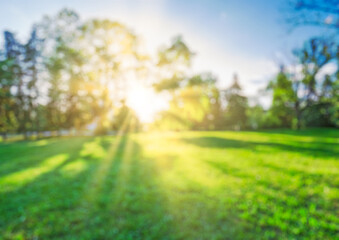 natural grass in park and trees background with blurred bokeh and sun rays