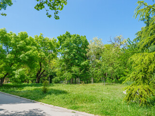 city park in Varna at summer