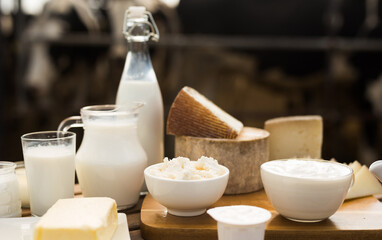Jug of milk, bottle of kefir, cottage cheese, cream and yogurt in bowl, cheese, butter on table in barn