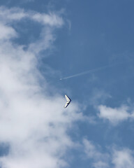 En el cielo azul el paracaídas no cae, solo vuela y toca el cielo. Un deporte de confianza y seguridad en si mismo. 