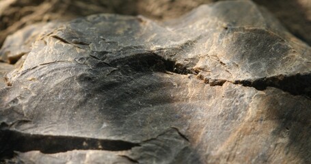 Close-up of jagged slate edge with layered structure and dramatic shadows