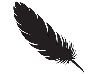 Obraz premium FEATHER SILHOUETTE