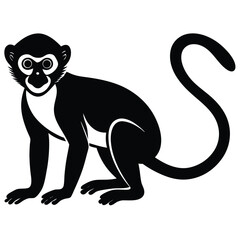 vervet monkey vector