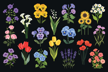 Colorful botanical floral collection, vector set