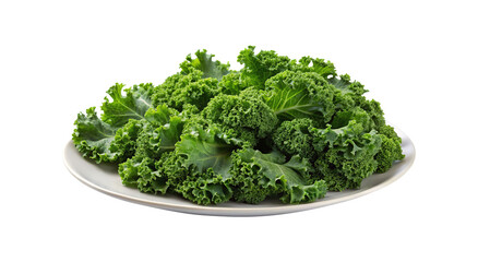 A vibrant display of fresh green kale on a light grey plate