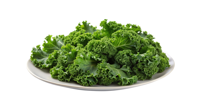 A vibrant display of fresh green kale on a light grey plate
