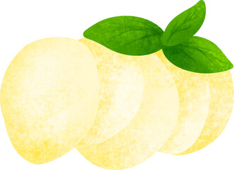 Delicious mozzarella cheese illustration