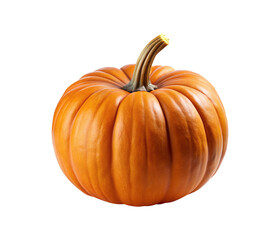 A beautifully ripe orange pumpkin, perfect for autumn celebrations and festive decorations