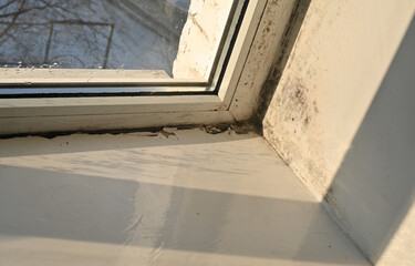 black mold of window from high humidity. room comes alive when midday sun exposes mold...