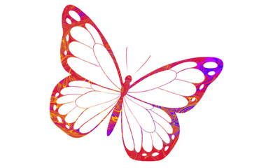 Brightly Colored Butterfly Illustration with Vibrant Abstract Patterns On white transparent background 