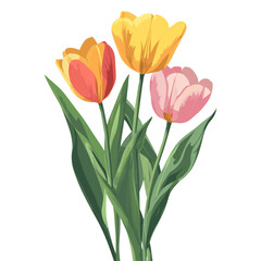 Fototapeta premium Flowers tulip illustration colorful vector