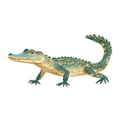 Fototapeta premium Illustration of Saltwater Crocodile crocodile alligator reptile vector