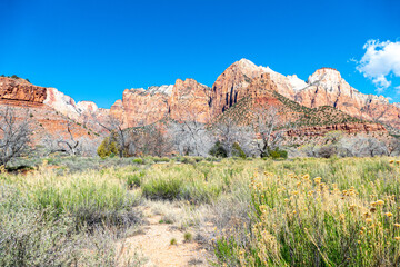 Landscape of the watchman trail of Zion National Park with its impressive mountains close to the...