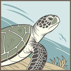  turtle cartoon vector