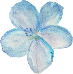 blue watercolor flower