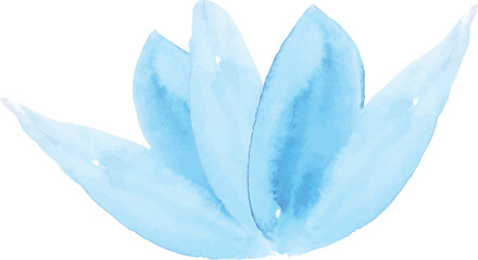 blue water lily flower hand drawn