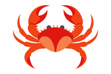 red crab on white background
